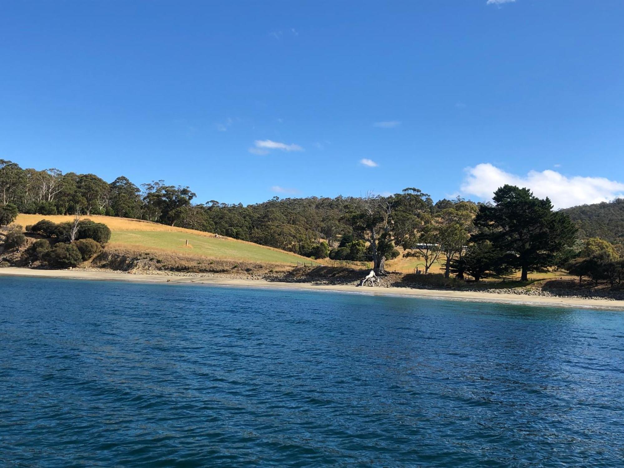 The Woolshed And Farmhouse Blue, Bruny Island Barnes Bay Екстер'єр фото